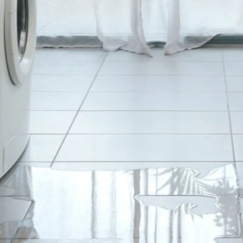 Appliance Leak Cleanup in Manistique, MI